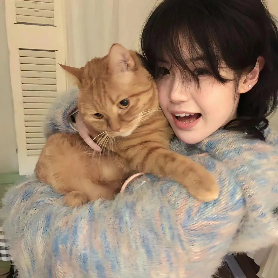 金陵御猫